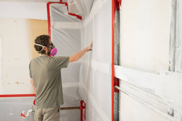 Best Attic Mold Removal  in Walthourville, GA