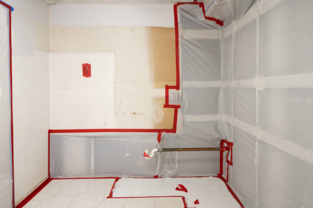 Best Emergency Mold Remediation  in Walthourville, GA