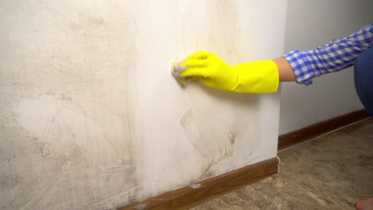 Mold Remediation for Rental Properties in Walthourville, GA